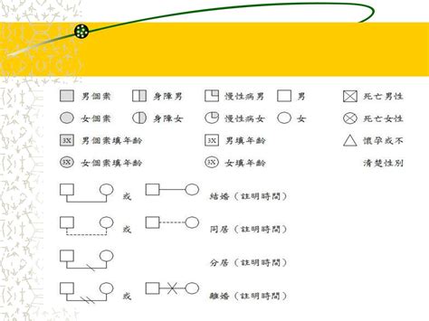 家庭圖 關係線